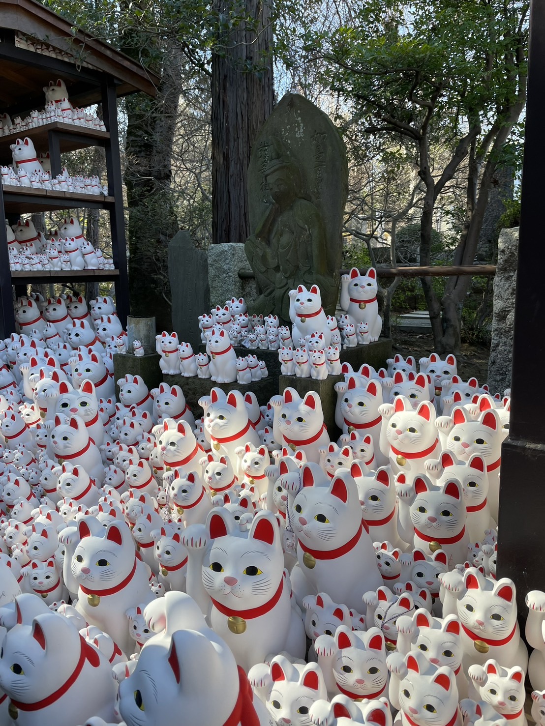 豪徳寺　招福猫児